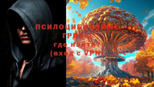 круглые Алзамай