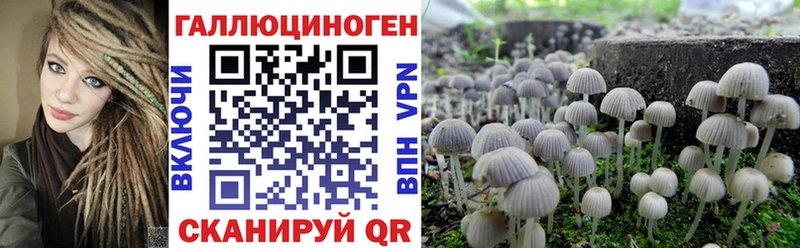 Псилоцибиновые грибы прущие грибы  Котово 
