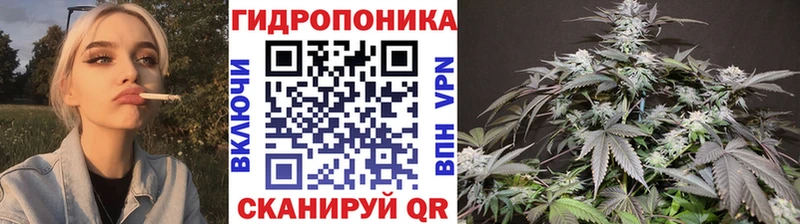 купить   Котово  Бошки Шишки ГИДРОПОН 